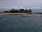 Southward-looking view of the Low Isles sand cay at falling tide. Note initial exposure of the reef crest.